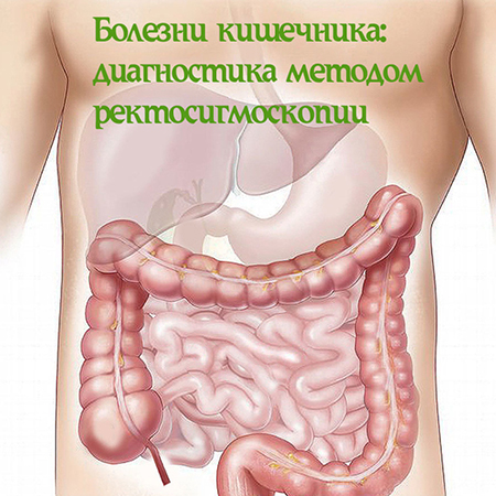 Гастроэнтеролог для взрослых в Алматы